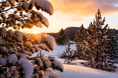 Beautiful outdoor winter scene