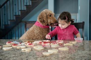Little girl baking cookies with dog