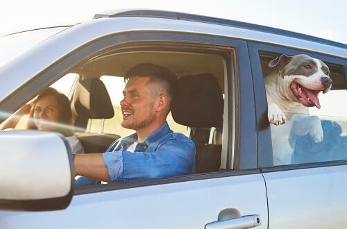 Family driving in car