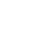 Debt Management Program